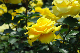 image0203