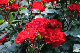 image0204