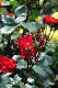 image0206
