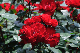 image0210
