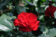 image0213