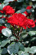image0214