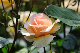 image0216