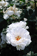 image0221