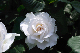 image0222