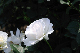 image0224
