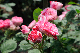 image0227