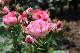 image0228