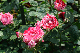 image0232