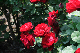 image0236