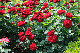 image0243