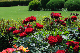 image0244