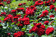image0245