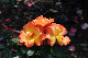 image0248