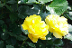image0251