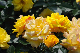 image0254