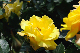 image0255