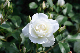 image0256