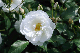 image0257