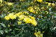 image0265