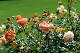 image0266
