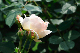 image0269