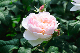 image0280