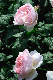 image0282