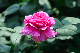 image0283