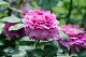 image0284
