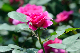image0286