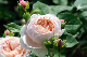 image0289