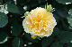 image0293