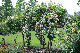 image0298