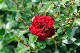 image0301