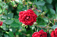 image0302