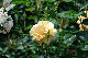 image0304
