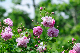 image0307
