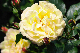image0309