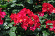 image0311