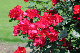 image0313