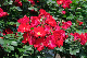 image0314