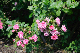 image0315