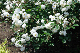 image0316
