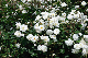 image0317