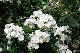image0319