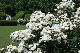 image0320