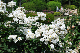 image0321