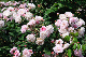 image0322