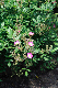 image0324